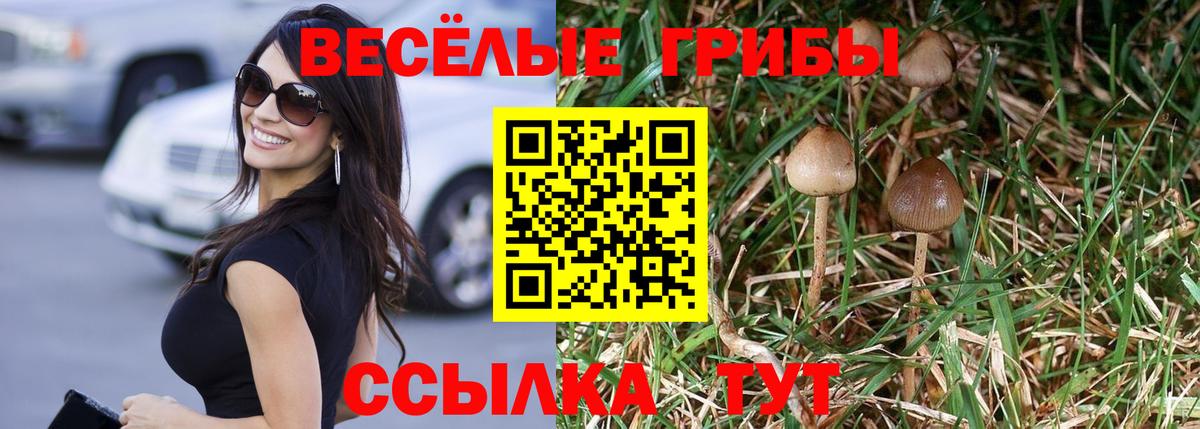 Галлюциногенные грибы прущие грибы  Вход с VPN  Аксай 